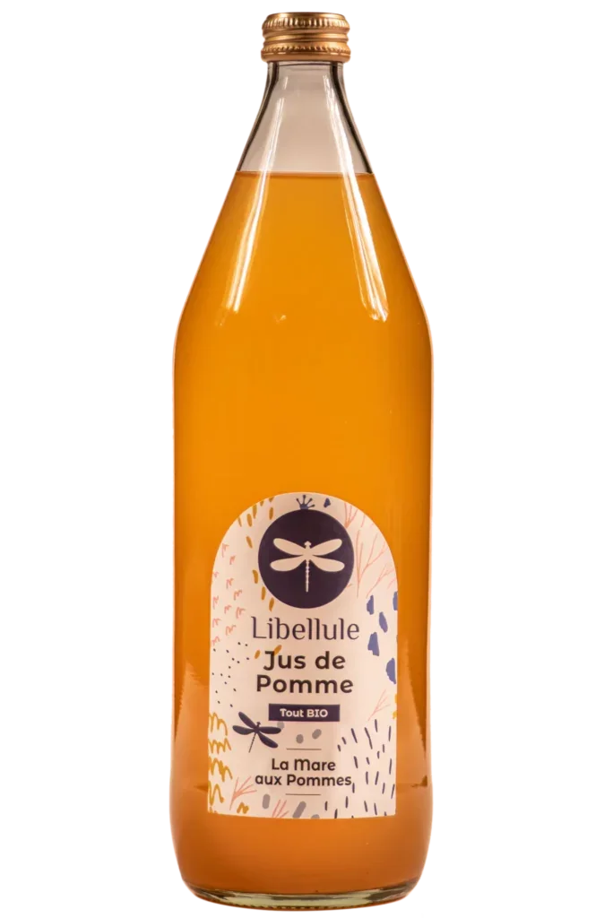 Libellule Nature