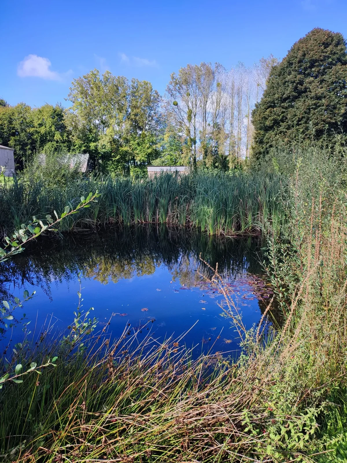 La Mare aux Pommes — cidrerie du Pays de Caux, Normandie
