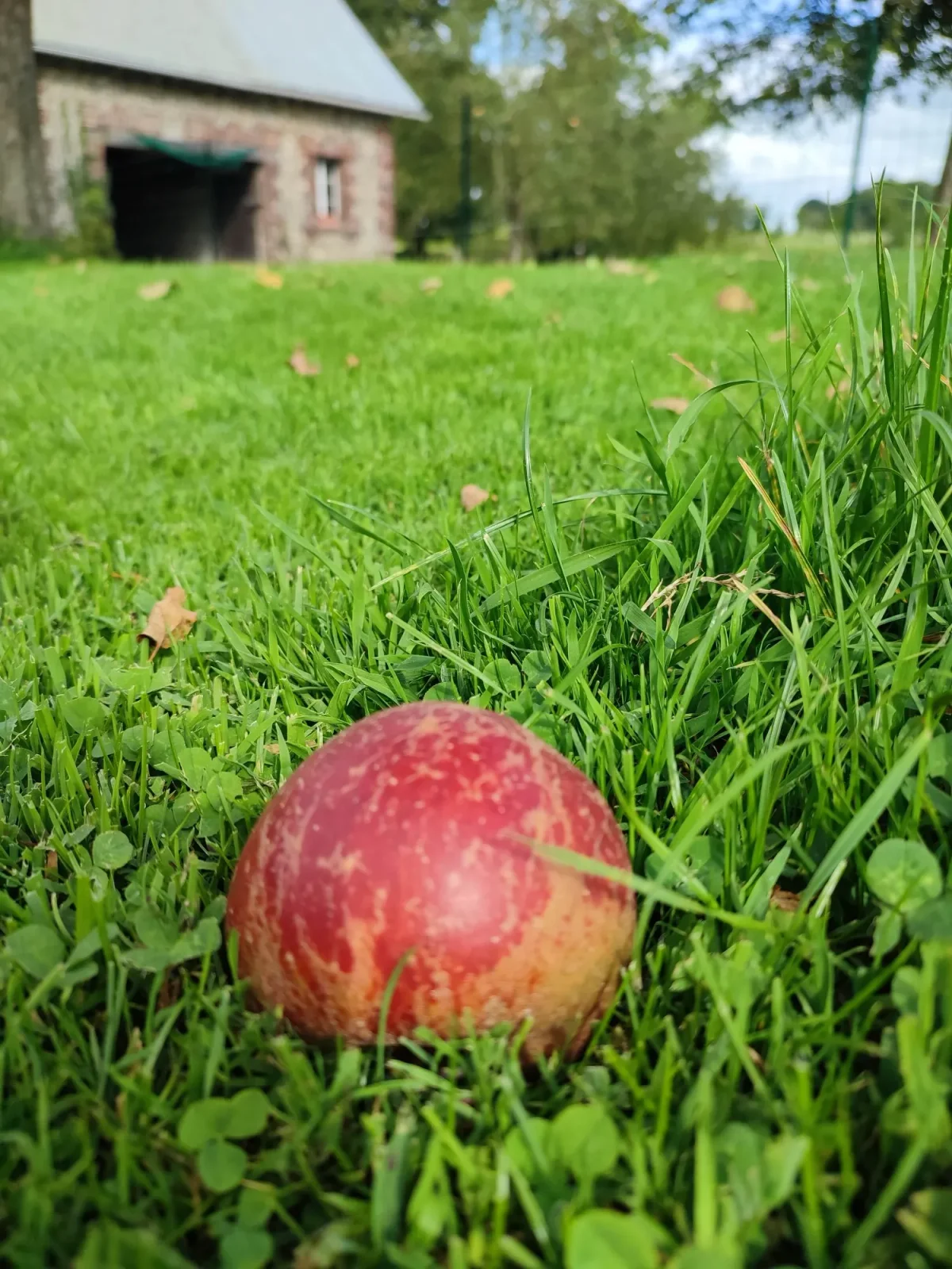 La Mare aux Pommes — cidrerie du Pays de Caux, Normandie